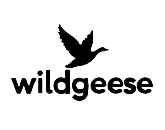 Break the Formation: The Birth of Wildgeese